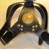 Bull Terrier Brass Leather Harness Black